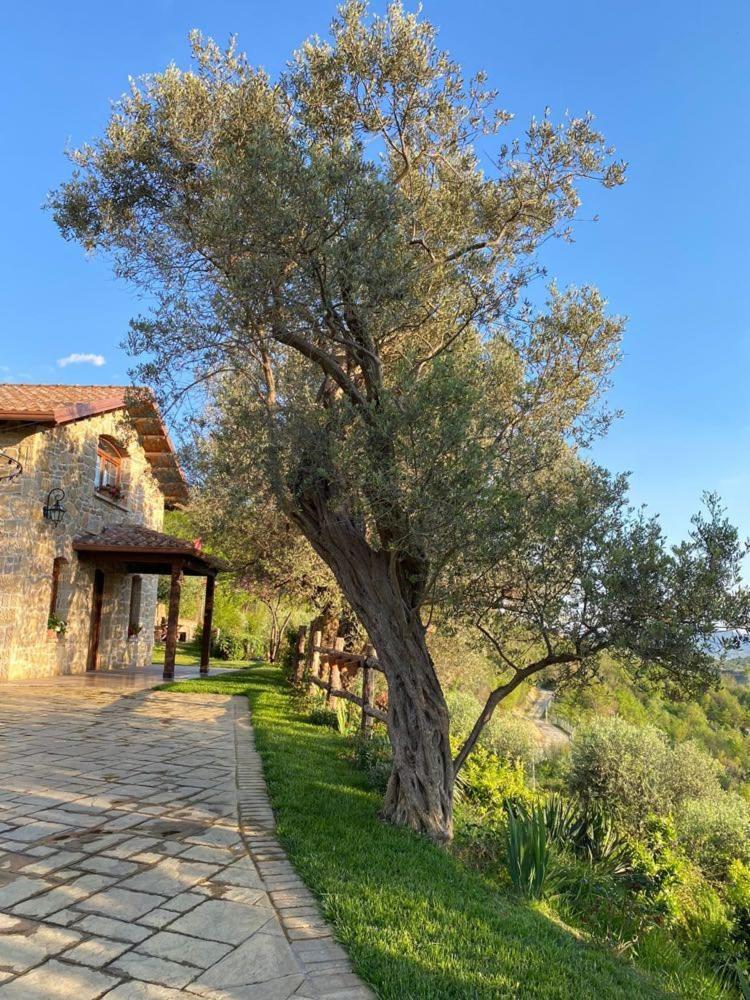 Bujtina Salko Villa Mucaj Екстериор снимка