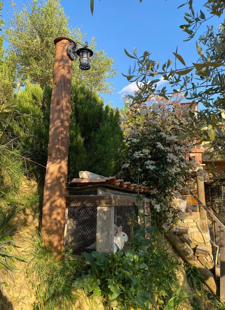 Bujtina Salko Villa Mucaj Екстериор снимка